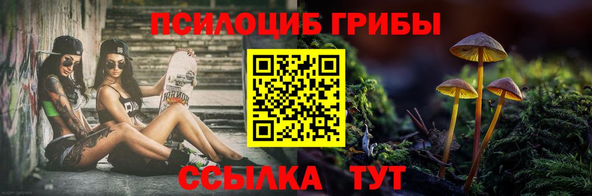 Ухта  Галлюциногенные грибы MAGIC MUSHROOMS  Вход с VPN 